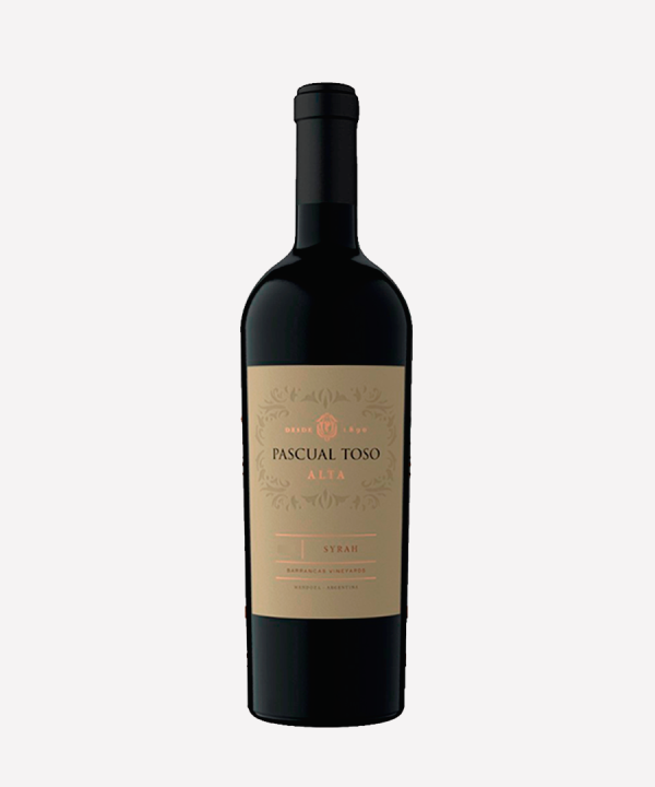 Pascual Toso Alta Syrah (2022)